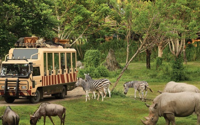 Safari Park Baly