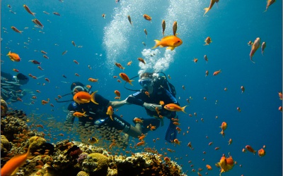 Diving on the Red Sea (Eilat)