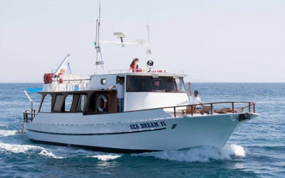 Sea safari on the Odyssey boat.