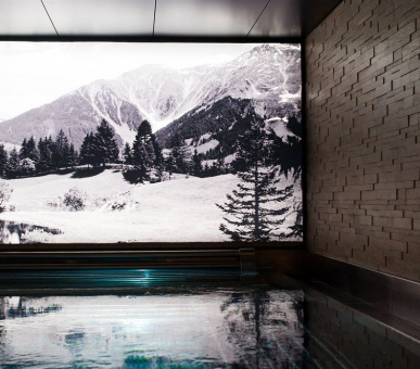 Фото Hotel Seehof Davos (Швейцария, Давос) 19