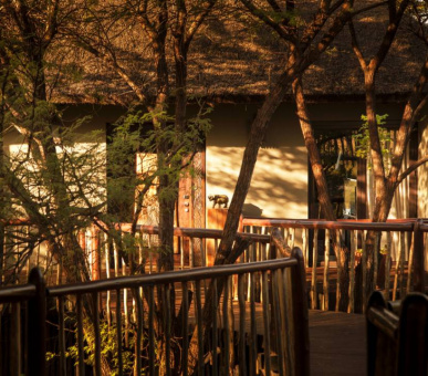 Photo Four Seasons Safari Lodge (Танзания, Национальный парк Серенгети) 15