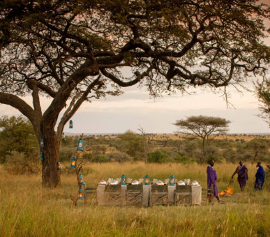 Photo Four Seasons Safari Lodge (Танзания, Национальный парк Серенгети) 26