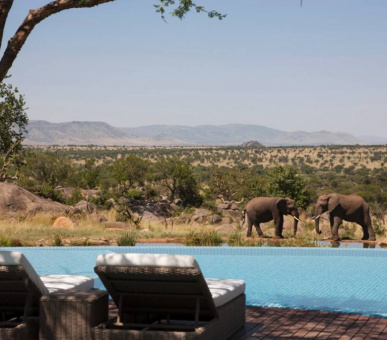 Photo Four Seasons Safari Lodge (Танзания, Национальный парк Серенгети) 20