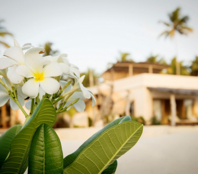 Фото Zanzibar White Sand Luxury Villas 15