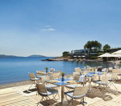 Фото Grand Resort Lagonissi (Греция, Аттика) 16