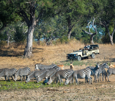 Photo Luangwa River Lodge (Замбия, Национальный парк Южная Луангва) 3