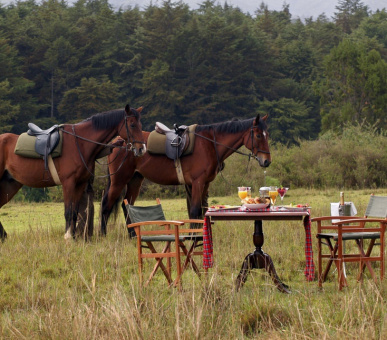 Photo Fairmont Mount Kenya Safari Club  (Кения, Национальный заповедник Масаи Мара) 3