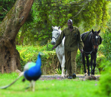 Photo Fairmont Mount Kenya Safari Club  (Кения, Национальный заповедник Масаи Мара) 21
