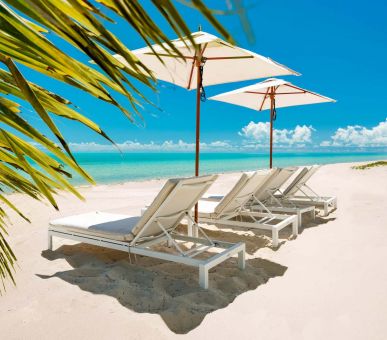 Фото Shambhala 3