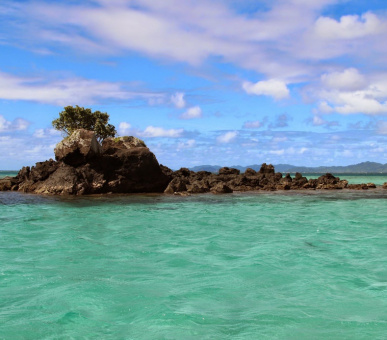Фото Taveuni Island Resort (Фиджи, Остров Тавеуни) 11