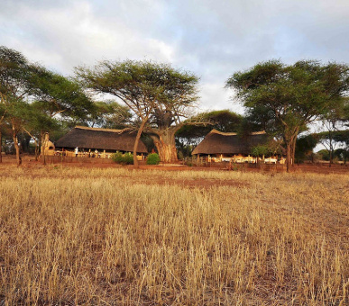 Photo Swala Camp (Танзания, Национальный парк Тарангирe) 13