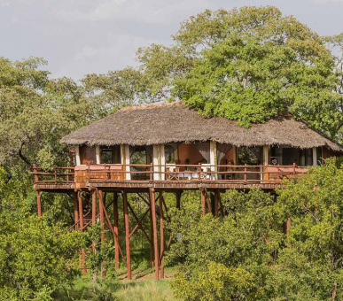 Photo Tarangire Treetops 4