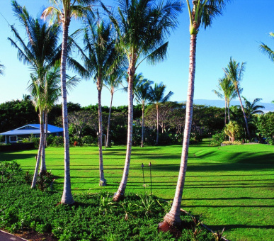 Photo The Fairmont Orchid (США, остров Гаваи (Биг Айлэнд)) 7