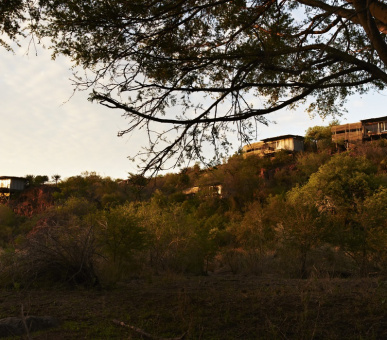 Photo Singita Lebombo Lodge 43