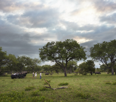 Photo Singita Castleton Camp  25