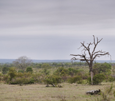 Photo Singita Castleton Camp  23