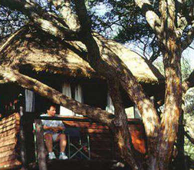Sikumi Tree Lodge