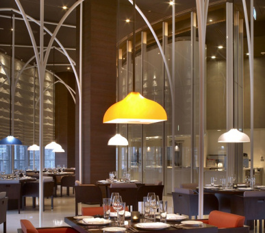Фото Armani Hotel Dubai (Дубаи, Город Дубаи) 9