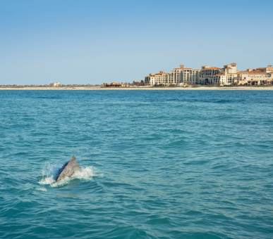 Photo The St.Regis Saadiyat Island Resort Abu Dhabi (Абу-Даби, Остров Саадят) 40