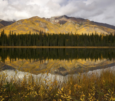 Фото Национальный парк Врангель - Сент Элиас (Аляска, Национальные природные парки) 5