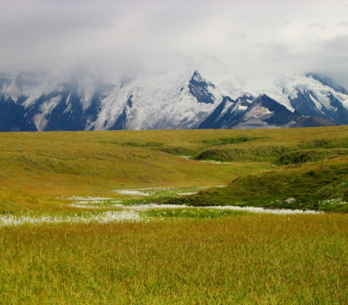 Фото Национальный парк Врангель - Сент Элиас (Аляска, Национальные природные парки) 10