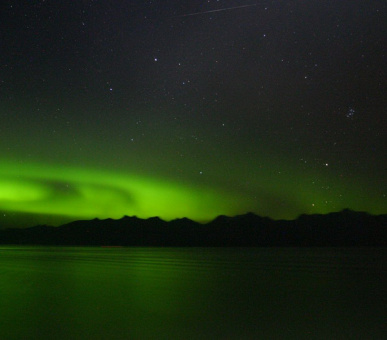 Фото Национальный парк Глейшер Бей (Аляска, Национальные природные парки) 11