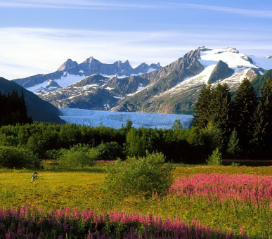 Photo Национальный парк Глейшер Бей (Аляска, Национальные природные парки) 7