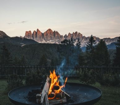 Image Forestis 6 Photo Forestis 6