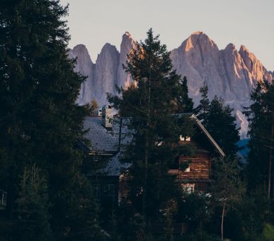 Image Forestis 1 Photo Forestis 1