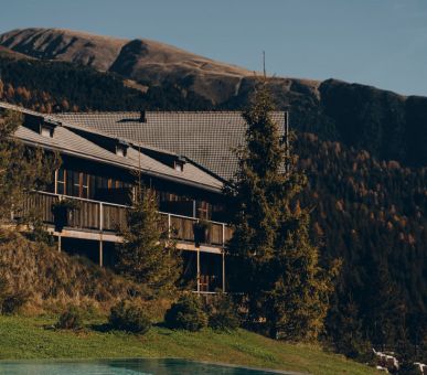 Image Forestis 2 Photo Forestis 2