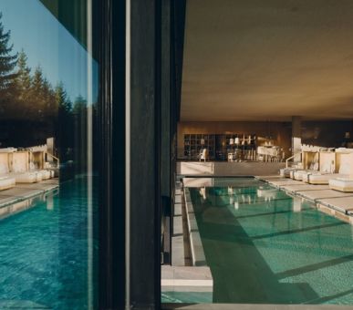 Image Forestis 8 Photo Forestis 8