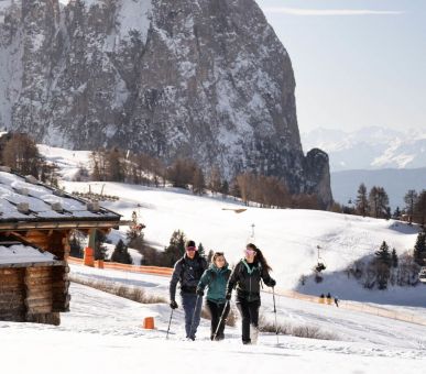 Photo COMO Alpina Dolomites 16