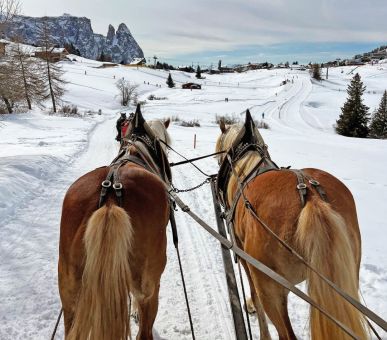 Photo COMO Alpina Dolomites 19