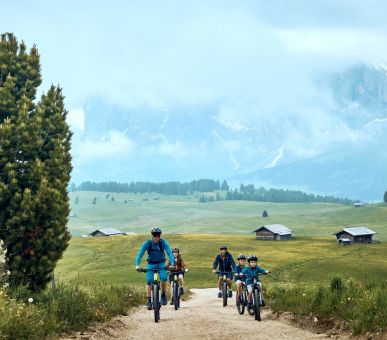 Photo COMO Alpina Dolomites 21