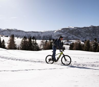 Photo COMO Alpina Dolomites 15