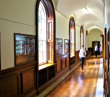 Image Bryanston School (Великобритания, Средняя школа) 12 Photo Bryanston School (Великобритания, Средняя школа) 12