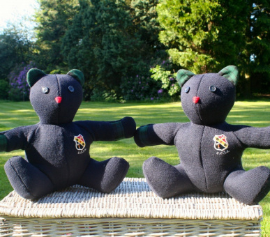 Image Cheltenham Ladies' College (Великобритания, Средняя школа) 5 Photo Cheltenham Ladies' College (Великобритания, Средняя школа) 5