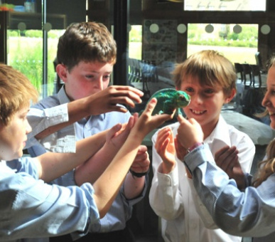 Image Oundle School (Великобритания, Средняя школа) 20 Photo Oundle School (Великобритания, Средняя школа) 20