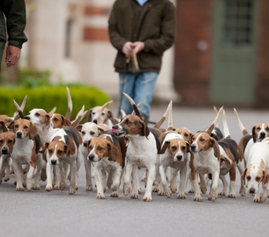 Photo Radley College (Великобритания, Средняя школа) 11