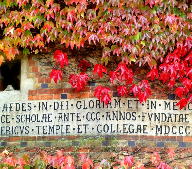 Image Rugby School (Великобритания, Средняя школа) 2 Photo Rugby School (Великобритания, Средняя школа) 2