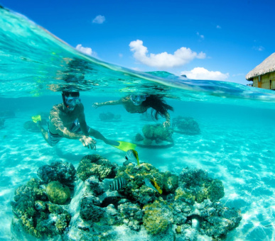 Photo Bora Bora Pearl Beach Resort (Французская Полинезия, о. Бора Бора) 37