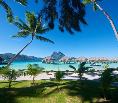 Photo Bora Bora Pearl Beach Resort (Французская Полинезия, о. Бора Бора) 41