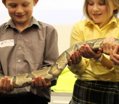 Image Dragon School, Oxford (Великобритания, Подготовительная школа) 12 Photo Dragon School, Oxford (Великобритания, Подготовительная школа) 12