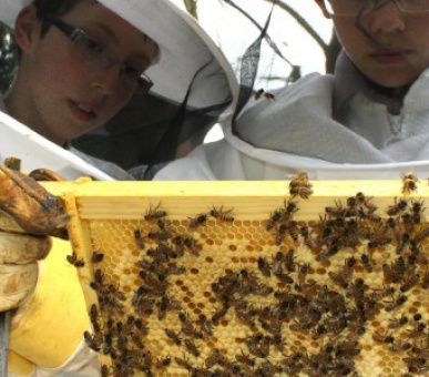 Image Dragon School, Oxford (Великобритания, Подготовительная школа) 11 Photo Dragon School, Oxford (Великобритания, Подготовительная школа) 11