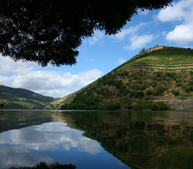 Photo Six Senses Douro Valley (Португалия, Порто) 46