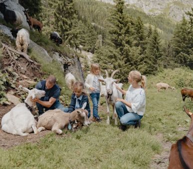 Photo The Chedi Andermatt (Швейцария, Андерматт) 22