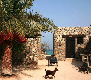 Photo Six Senses Zighy Bay (Оман, Маскат) 36