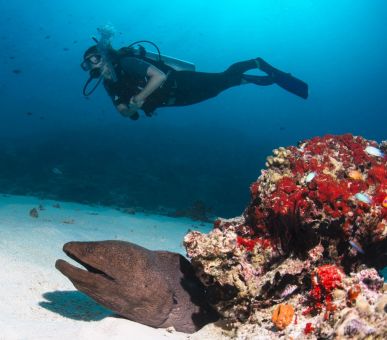 Image Gili Lankanfushi Maldives 7 Photo Gili Lankanfushi Maldives 7