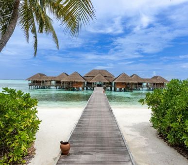 Image Gili Lankanfushi Maldives 1 Photo Gili Lankanfushi Maldives 1