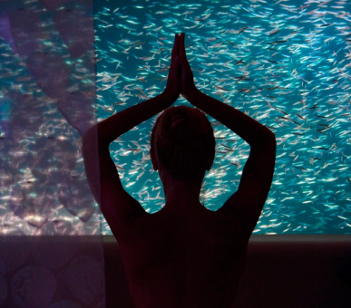 Photo Huvafen Fushi Spa Resort 46